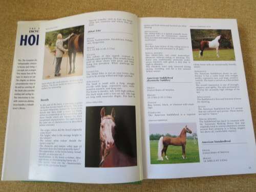 THE COMPLETE ENCYCLOPEDIA OF HORSES  by Josée Hermsen (Caring, skills and equestrian sports)