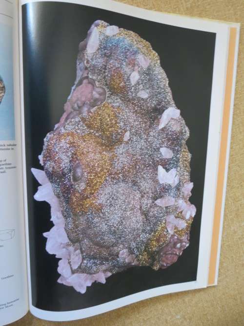 NATURE LIBRARY: MINERALS  by Andrew Clark