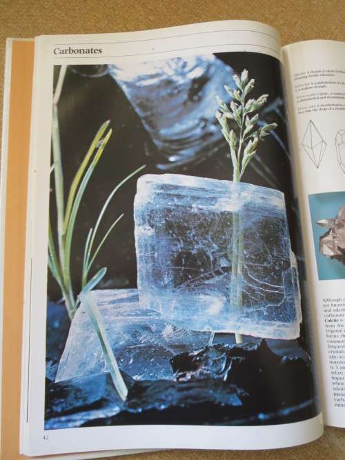 NATURE LIBRARY: MINERALS  by Andrew Clark