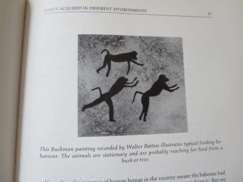 THE SOUL OF THE APE and THE SOUL OF THE WHITE ANT  by Eugène Marais
