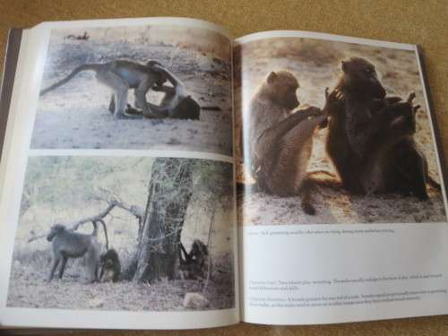 THE SOUL OF THE APE and THE SOUL OF THE WHITE ANT  by Eugène Marais