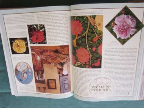 THE WORLD OF ROSES  An Illustrated Guide  by Stirling Macoboy