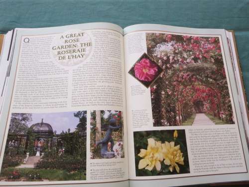 THE WORLD OF ROSES  An Illustrated Guide  by Stirling Macoboy
