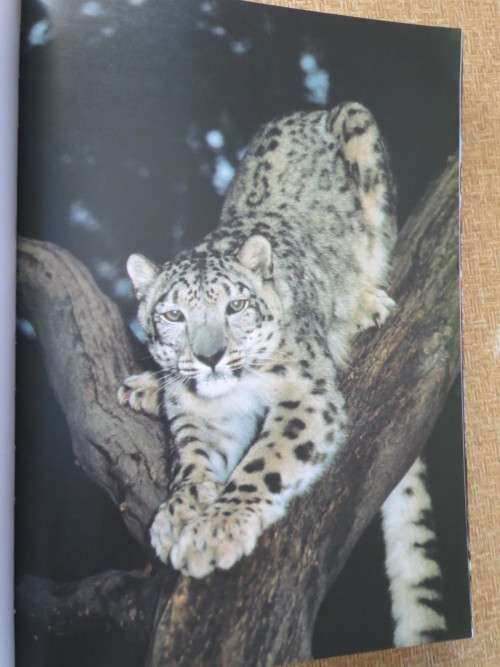 THE LIVING PLANET  by David Attenborough