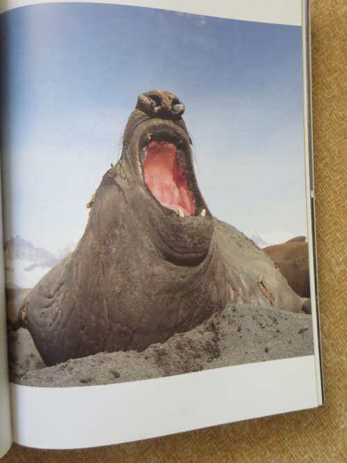 THE LIVING PLANET  by David Attenborough