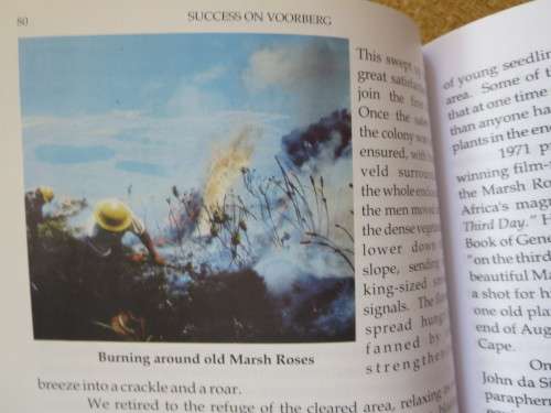 THE KOGELBERG  Mountains of the Marsh Rose  by Gerald McCann  (SIGNED)