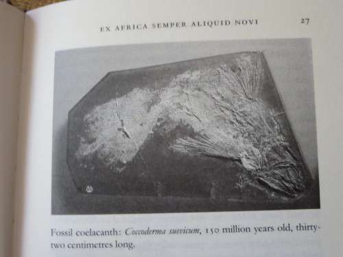A FISH CAUGHT IN TIME  The Search for the Coelacanth  by Samantha Weinberg