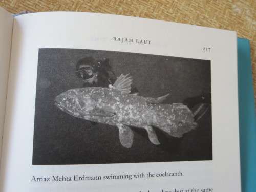 A FISH CAUGHT IN TIME  The Search for the Coelacanth  by Samantha Weinberg