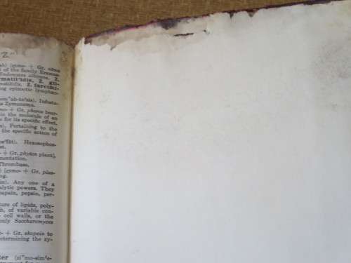 DORLAND`S ILLUSTRATED MEDICAL DICTIONARY  24th Edition