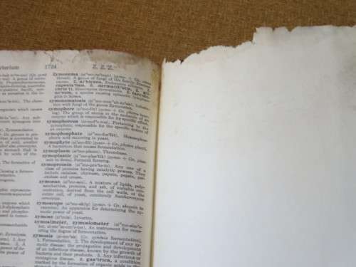 DORLAND`S ILLUSTRATED MEDICAL DICTIONARY  24th Edition