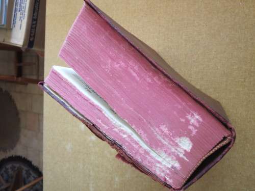 DORLAND`S ILLUSTRATED MEDICAL DICTIONARY  24th Edition
