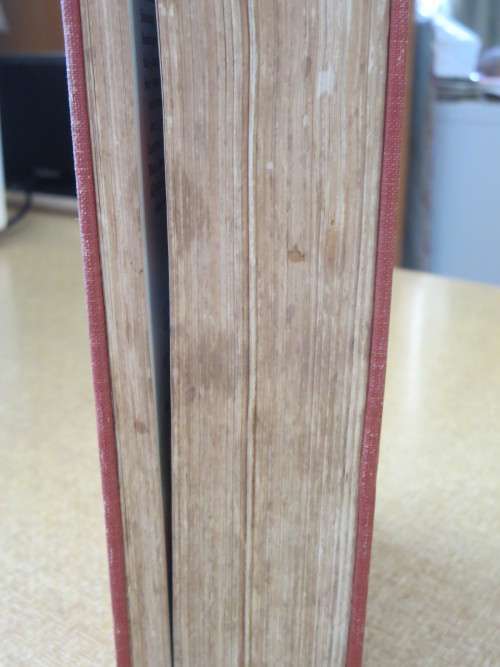 WOMAN`S HOME COMPANION COOK BOOK by Dorothy Kirk