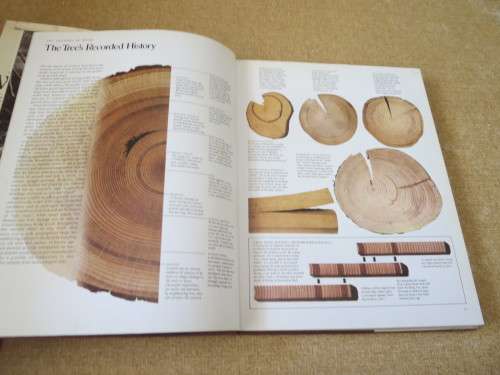 THE INTERNATIONAL BOOK OF WOOD  Foreword: Hugh Johnson