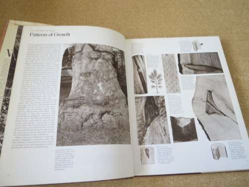 THE INTERNATIONAL BOOK OF WOOD  Foreword: Hugh Johnson