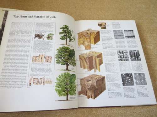 THE INTERNATIONAL BOOK OF WOOD  Foreword: Hugh Johnson