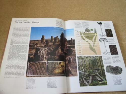 THE INTERNATIONAL BOOK OF WOOD  Foreword: Hugh Johnson