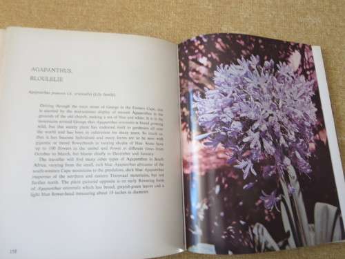 DISCOVERING WILD FLOWERS IN SOUTHERN AFRICA  by Sima Eliovson