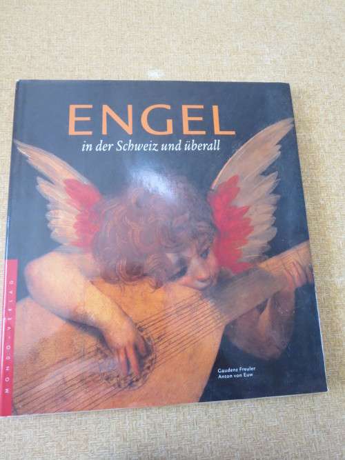 ENGEL in der Schweiz und uberall by Gaudenz Freuler and Anton von Euw  (Text in German)
