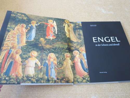 ENGEL in der Schweiz und uberall by Gaudenz Freuler and Anton von Euw  (Text in German)