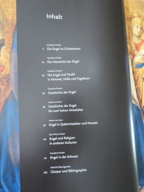 ENGEL in der Schweiz und uberall by Gaudenz Freuler and Anton von Euw  (Text in German)