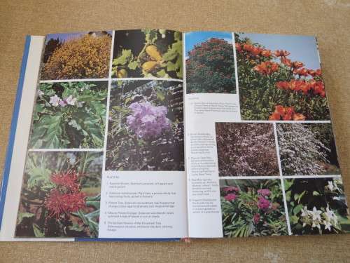SHRUBS, TREES AND CLIMBERS  by Sima Eliovson