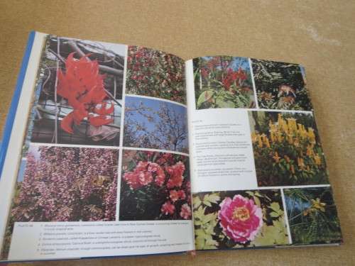 SHRUBS, TREES AND CLIMBERS  by Sima Eliovson