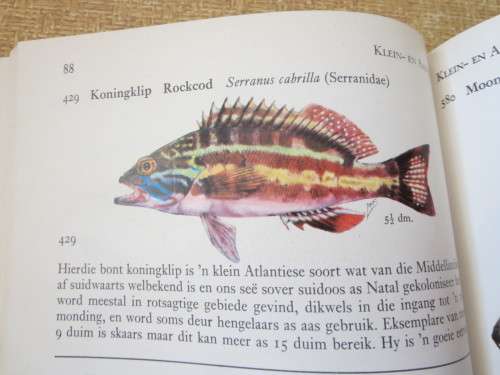 VISSE VAN DIE TSITSIKAMA-SEEKUS NASIONALE PARK  deur prof. J L B Smith en M M Smith