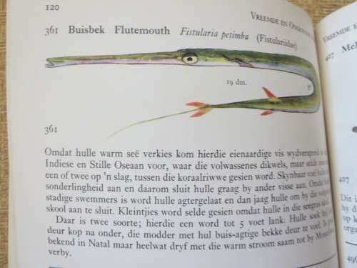 VISSE VAN DIE TSITSIKAMA-SEEKUS NASIONALE PARK  deur prof. J L B Smith en M M Smith