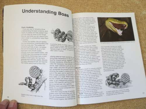 BOAS  A Complete Pet Owner`s Guide  by Doug Wagner  Illustrations: David Wenzel