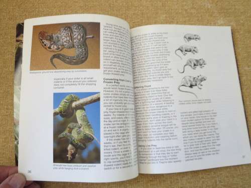 BOAS  A Complete Pet Owner`s Guide  by Doug Wagner  Illustrations: David Wenzel