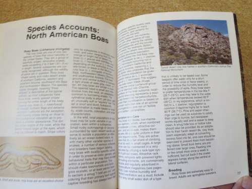 BOAS  A Complete Pet Owner`s Guide  by Doug Wagner  Illustrations: David Wenzel