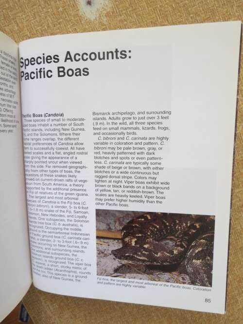 BOAS  A Complete Pet Owner`s Guide  by Doug Wagner  Illustrations: David Wenzel