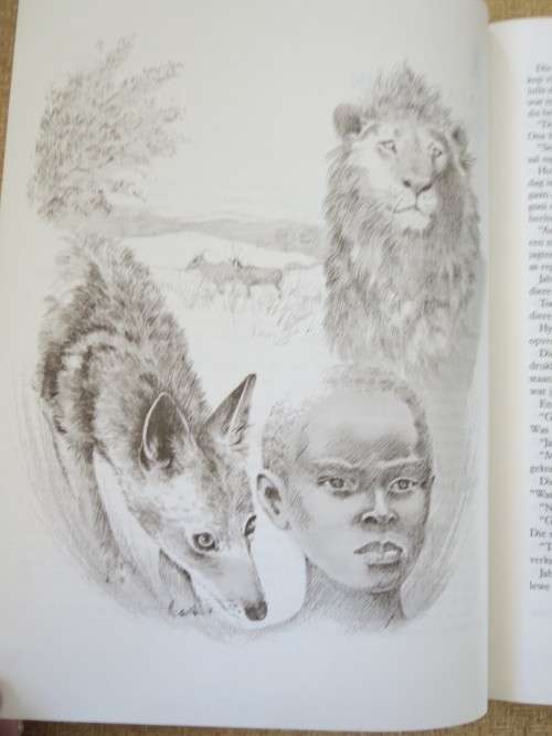 `N KEUR VAN ARIKA-STORIES  deur Phyllis Savory