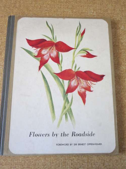FLOWERS BY THE ROADSIDE  by R. A. H. Flugge- de Smidt  (SIGNED)