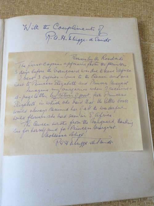 FLOWERS BY THE ROADSIDE  by R. A. H. Flugge- de Smidt  (SIGNED)