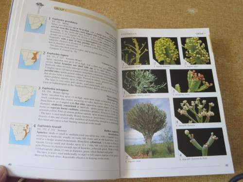 FIELD GUIDE TO TREES OF SOUTHERN AFRICA  by Braam v Wyk & Piet v Wyk