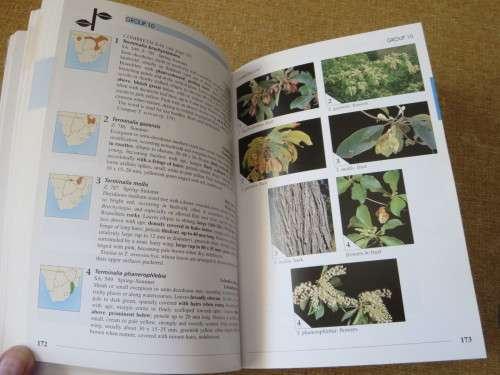 FIELD GUIDE TO TREES OF SOUTHERN AFRICA  by Braam v Wyk & Piet v Wyk