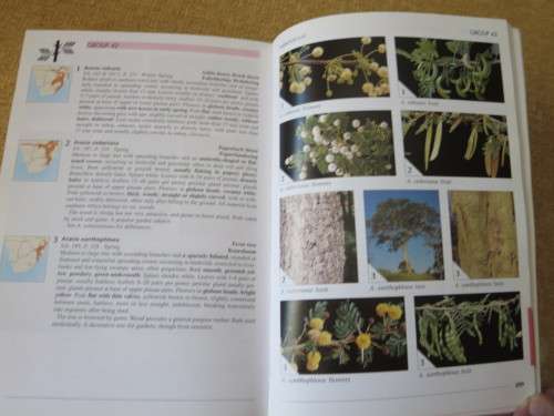 FIELD GUIDE TO TREES OF SOUTHERN AFRICA  by Braam v Wyk & Piet v Wyk