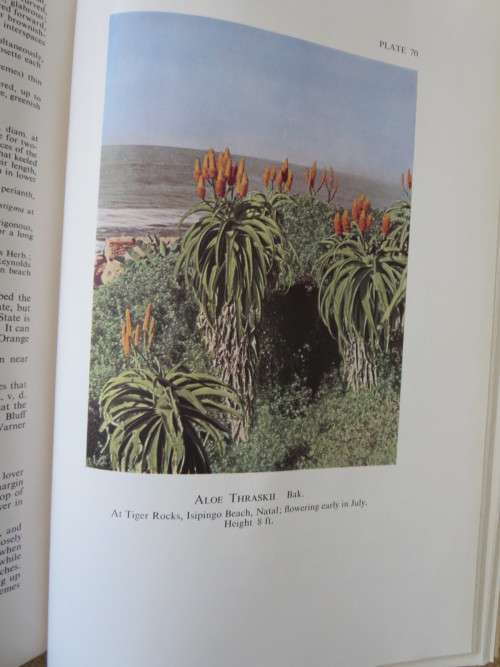 A GARDENER`S GUIDE: PLANTS OF THE BIBLE  by Daan Smit