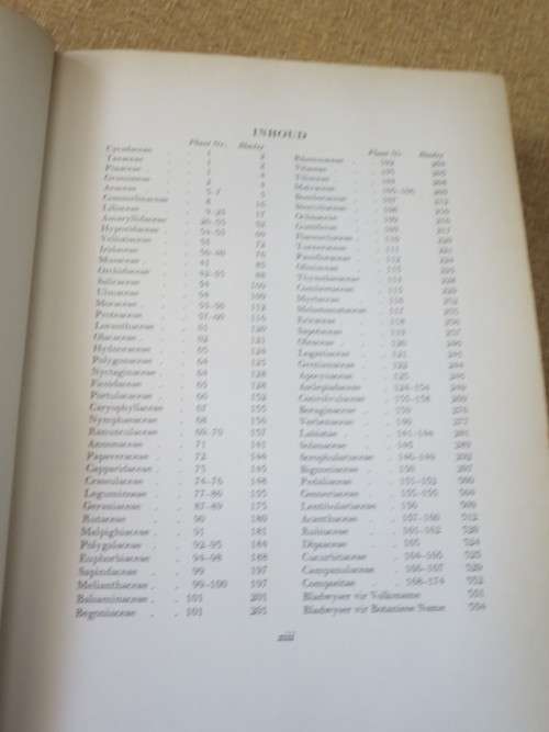 VELDBLOMME VAN TRANSVAAL  deur Cythna Letty  Afr. Vertaling: Anna Rothmann