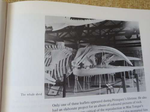 A HISTORY OF THE SOUTH AFRICAN MUSEUM  1825 - 1975  Compiled by R. F. H. Summers