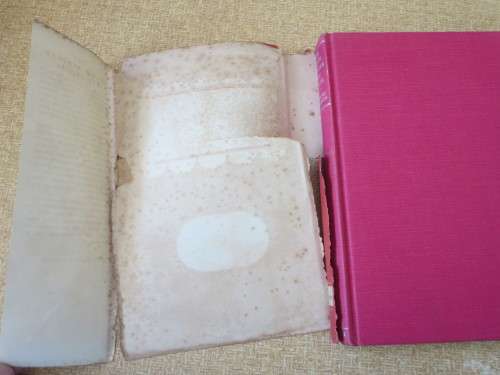 THE SOUTH AFRICAN WAY OF LIFE  Edited by G. H. Calpin