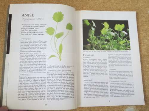 HERBS: Their cultivation and usage  by John and Rosemary Hemphill