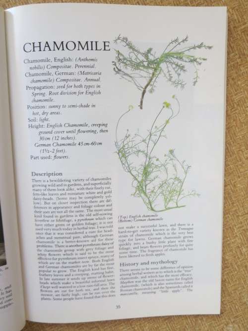 HERBS: Their cultivation and usage  by John and Rosemary Hemphill