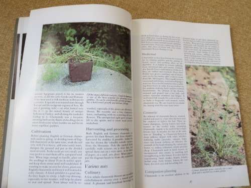 HERBS: Their cultivation and usage  by John and Rosemary Hemphill