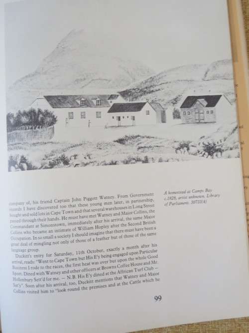 CAPE ALBUM  by Adele Naude