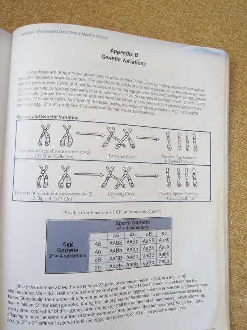 EVOLUTION  The Greatest Deception in Modern History by Roger G. Gallop, Ph.D
