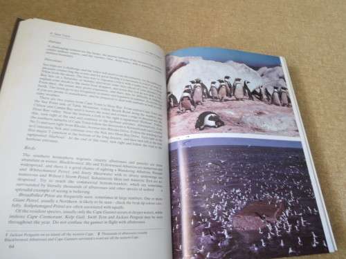 WHERE TO WATCH BIRDS IN SOUTH AFRICA  by A. Berruti  &  J.C. Sinclair