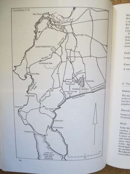 WHERE TO WATCH BIRDS IN SOUTH AFRICA  by A. Berruti  &  J.C. Sinclair
