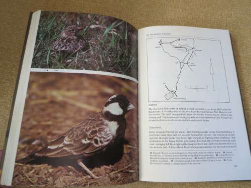 WHERE TO WATCH BIRDS IN SOUTH AFRICA  by A. Berruti  &  J.C. Sinclair